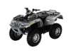 2008 ARCTIC CAT THUNDERCAT EFI 4X4 H2 SE AUTO