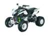 2009 ARCTIC CAT 300 DVX SPORT