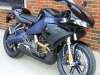 2008 BUELL 1125R