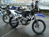 2001 BMW F650GS DAKAR