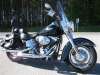 2006 HARLEY-DAVIDSON FLSTI HERITAGE SOFTAIL (F.I.)