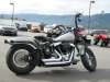 2009 HARLEY-DAVIDSON FLSTBI SOFTAIL CROSS BONES