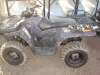 2006 POLARIS SPORTSMAN 450 MOSSY OAK