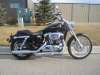 2007 HARLEY-DAVIDSON XL1200C CUSTOM