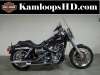 2009 HARLEY-DAVIDSON FXDLI LOW RIDER