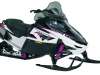 2008 ARCTIC CAT F6 EFI LXR ES/R