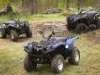 2009 YAMAHA YFM7FGP GRIZZLY FI EPS