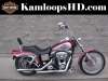 2004 HARLEY-DAVIDSON FXDWG DYNA WIDE GLIDE