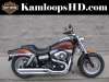 2009 HARLEY-DAVIDSON FXDFI FAT BOB