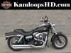 2009 HARLEY-DAVIDSON FXDFI FAT BOB