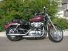 2007 HARLEY-DAVIDSON XL1200C CUSTOM