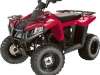 2009 POLARIS TRAIL BOSS 330