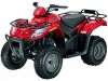 2009 ARCTIC CAT 250 2X4 AUTO