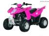 2008 ARCTIC CAT