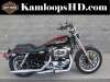 2010 HARLEY-DAVIDSON XL1200L LOW