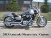 2003 KAWASAKI VULCAN MEAN STREAK 1500 EFI P2