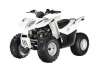 2009 ARCTIC CAT 90 DVX SE SPORT AUTO (4 STROKE)