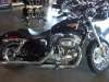 2010 HARLEY-DAVIDSON XL883L SPORTSTER L