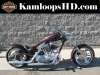 2008 HARLEY-DAVIDSON XL1200C CUSTOM