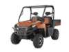 2010 POLARIS RANGER 800 XP EFI*