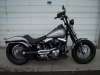 2009 HARLEY-DAVIDSON FLSTSBI SOFTAIL CROSS BONES