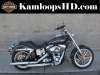 2009 HARLEY-DAVIDSON FXDLI LOW RIDER