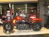 2009 HARLEY-DAVIDSON FLSTSBI SOFTAIL CROSS BONES