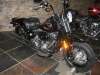 2009 HARLEY-DAVIDSON FLSTSBI SOFTAIL CROSS BONES