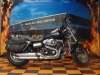 2010 HARLEY-DAVIDSON FXDFI FAT BOB